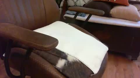 Snapshot of medfirebear chatting on November 2025 05:59:01 PM medfirebear online show from November 2025 05:59:01 PM