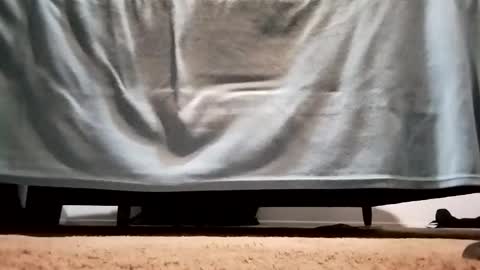 Snapshot of megacock420420 chatting on December 2024 02:27:01 AM megacock420420 online show from December 2024 02:27:01 AM