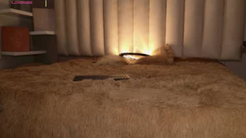     online show from November 2025 12:11:02 PM