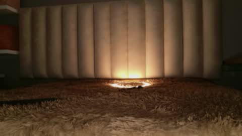     online show from March 2026 12:52:01 PM