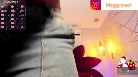 Snapshot of meggy_mae chatting on November 2025 12:06:01 PM MEGGY MAE online show from November 2025 12:06:01 PM