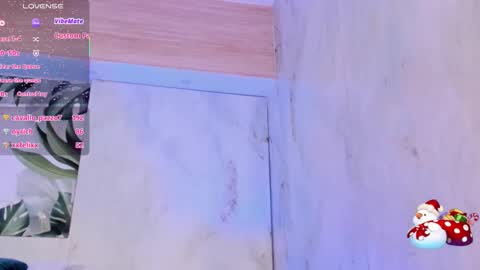 Snapshot of meggy_mae chatting on December 2025 02:14:02 PM MEGGY MAE online show from December 2025 02:14:02 PM