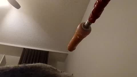 Snapshot of meheriuk68 chatting on December 2025 12:16:02 AM meheriuk68 online show from December 2025 12:16:02 AM