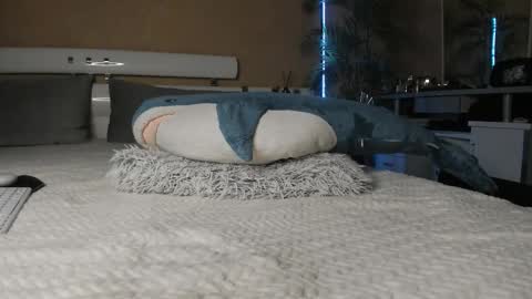  Start every day 2000 - 700 online show from February 2026 08:49:02 PM