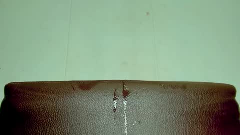 Melania online show from April 2026 04:01:01 PM