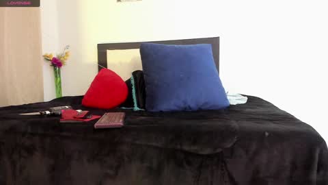 Snapshot of melaniie_roussel chatting on December 2024 04:06:02 AM melaniie_roussel online show from December 2024 04:06:02 AM