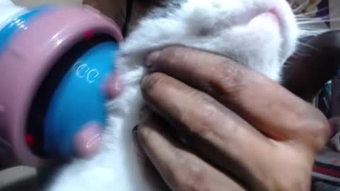 Snapshot of melany_isabella chatting on November 2025 08:54:01 PM melany online show from November 2025 08:54:01 PM