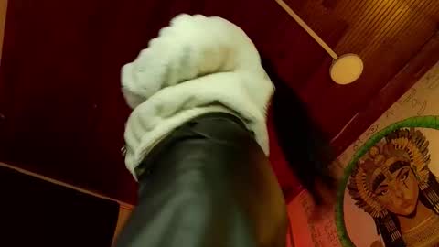 michell online show from January 2026 10:58:02 PM