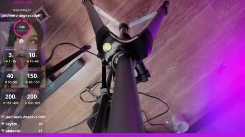 Snapshot of melissa_koster chatting on March 2025 05:09:01 AM Melissa 3 online show from March 2025 05:09:01 AM