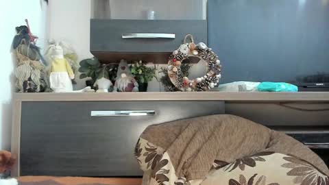 Snapshot of mellbell_ chatting on January 2025 10:58:02 PM MellyMell online show from January 2025 10:58:02 PM