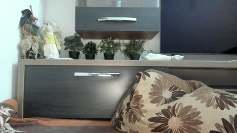 Snapshot of mellbell_ chatting on January 2025 11:02:01 PM MellyMell online show from January 2025 11:02:01 PM