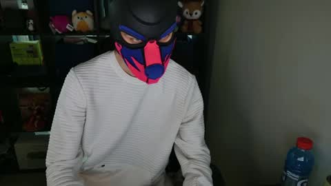 Snapshot of mellpup chatting on April 2026 01:14:01 AM MellPUP online show from April 2026 01:14:01 AM