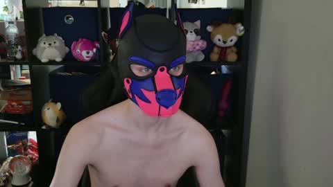 MellPUP online show from April 2026 06:36:02 PM