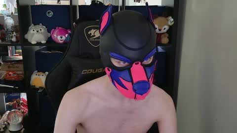 MellPUP online show from April 2026 06:03:02 PM