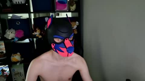MellPUP online show from May 2026 03:41:01 PM