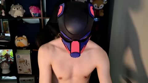 MellPUP online show from May 2026 05:10:02 PM