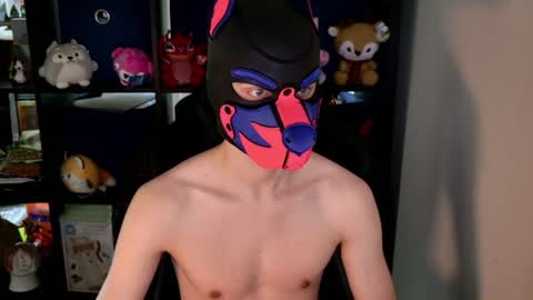 MellPUP online show from June 2026 08:42:02 PM