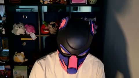MellPUP online show from June 2026 12:25:01 PM