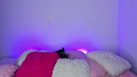    online show from January 2025 04:36:01 AM