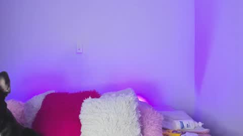    online show from February 2025 01:44:01 AM