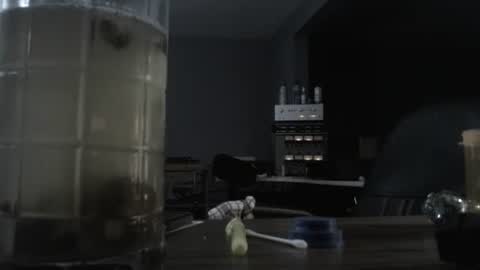 Snapshot of memberjames chatting on October 2025 12:44:02 AM I am usually high and horny...lol online show from October 2025 12:44:02 AM