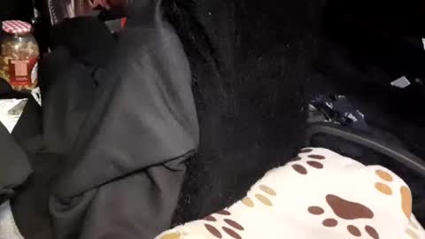 Giorggio Fragacci online show from January 2025 04:16:02 AM