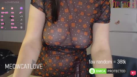 meowcatlove online show from January 2025 11:08:01 PM