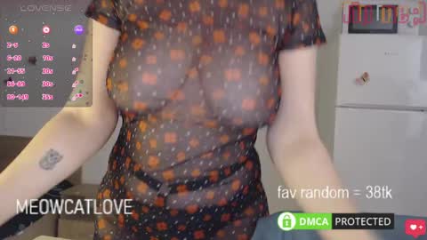 meowcatlove online show from January 2025 06:31:01 PM