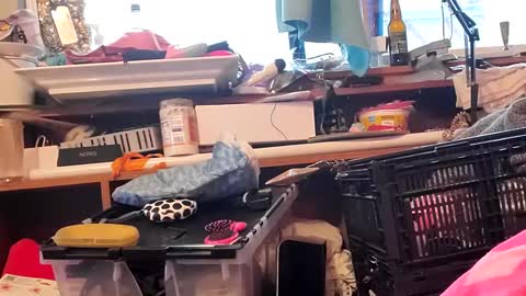 gurlnips online show from January 2025 11:42:01 PM