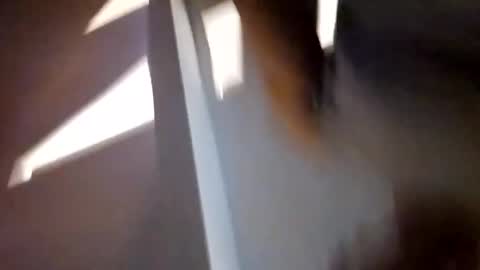 methorny online show from February 2025 06:45:02 AM