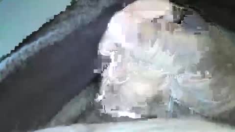 mexianthehawk online show from September 2025 10:09:01 PM