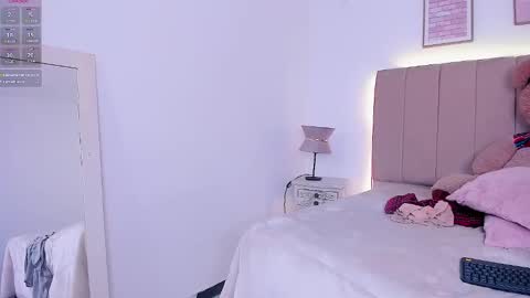 Snapshot of mia_corner chatting on November 2025 11:49:02 PM mia_corner online show from November 2025 11:49:02 PM