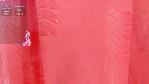 mia_nova5 online show from July 2026 11:36:02 AM