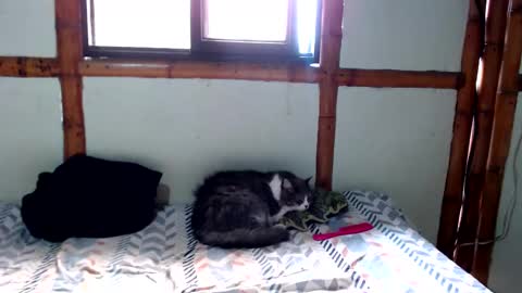 Mia  Sam online show from November 2025 04:18:02 PM