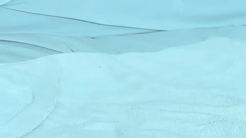 Michelle daniels online show from December 2024 12:54:01 AM