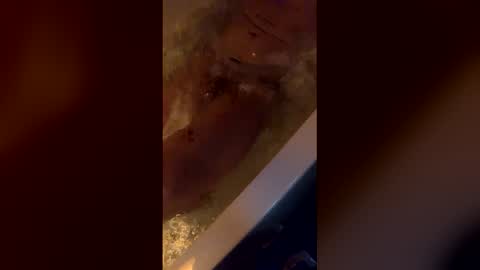 michelsexy69603790 online show from April 2026 03:44:02 AM