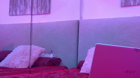 Snapshot of mickeyshyne69 chatting on November 2025 04:25:02 AM Mickey online show from November 2025 04:25:02 AM