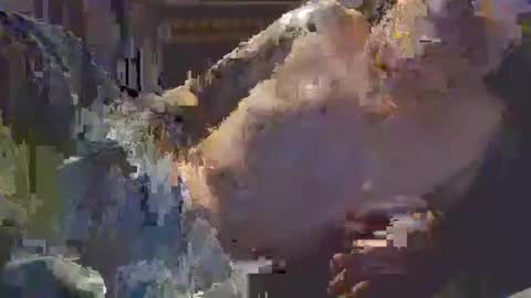 Snapshot of middle123456783939 chatting on September 2025 06:52:01 PM middle123456783939 online show from September 2025 06:52:01 PM