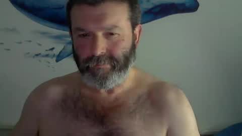 Snapshot of midhir chatting on January 2025 03:19:01 PM kike online show from January 2025 03:19:01 PM