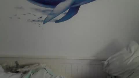 Snapshot of midhir chatting on February 2025 02:34:02 PM kike online show from February 2025 02:34:02 PM