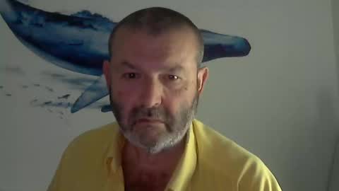 Snapshot of midhir chatting on March 2025 02:48:02 PM kike online show from March 2025 02:48:02 PM