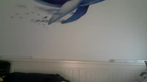 Snapshot of midhir chatting on December 2025 02:48:01 PM kike online show from December 2025 02:48:01 PM