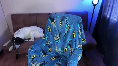 Blue online show from September 2025 03:34:02 PM