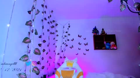       online show from December 2024 05:49:02 AM