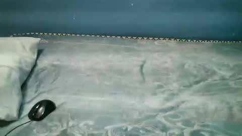 Snapshot of midnightkady chatting on November 2025 08:00:01 PM Caddy online show from November 2025 08:00:01 PM