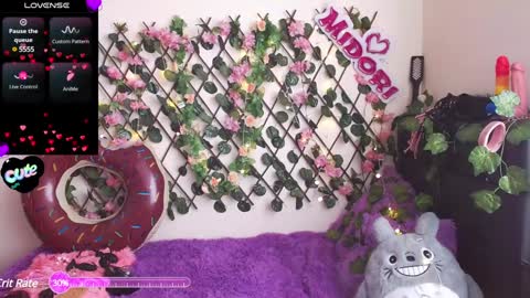 Snapshot of midoriquinn chatting on February 2025 03:52:02 PM Midori 7u7 online show from February 2025 03:52:02 PM