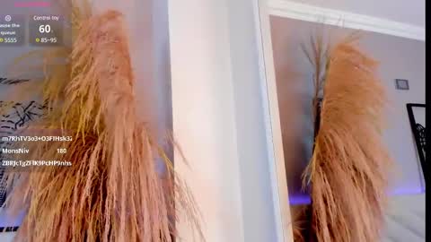   online show from March 2025 06:11:01 PM