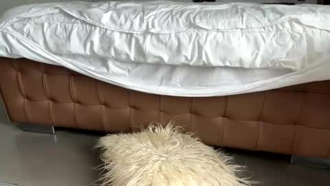 djfuckoff online show from March 2026 01:40:02 PM