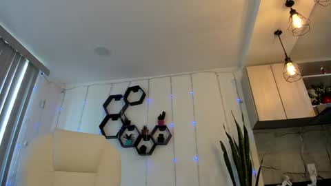 ASHLEY online show from January 2025 01:19:01 PM