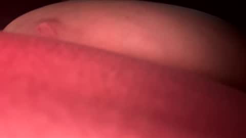 BBW-Gem online show from May 2026 07:52:02 PM
